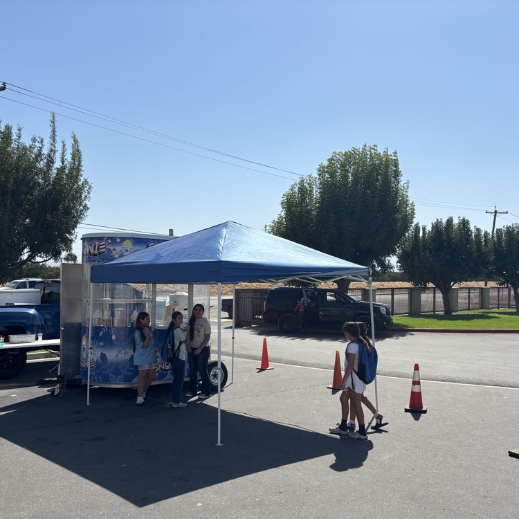 ButtonwillowUSD tweet media