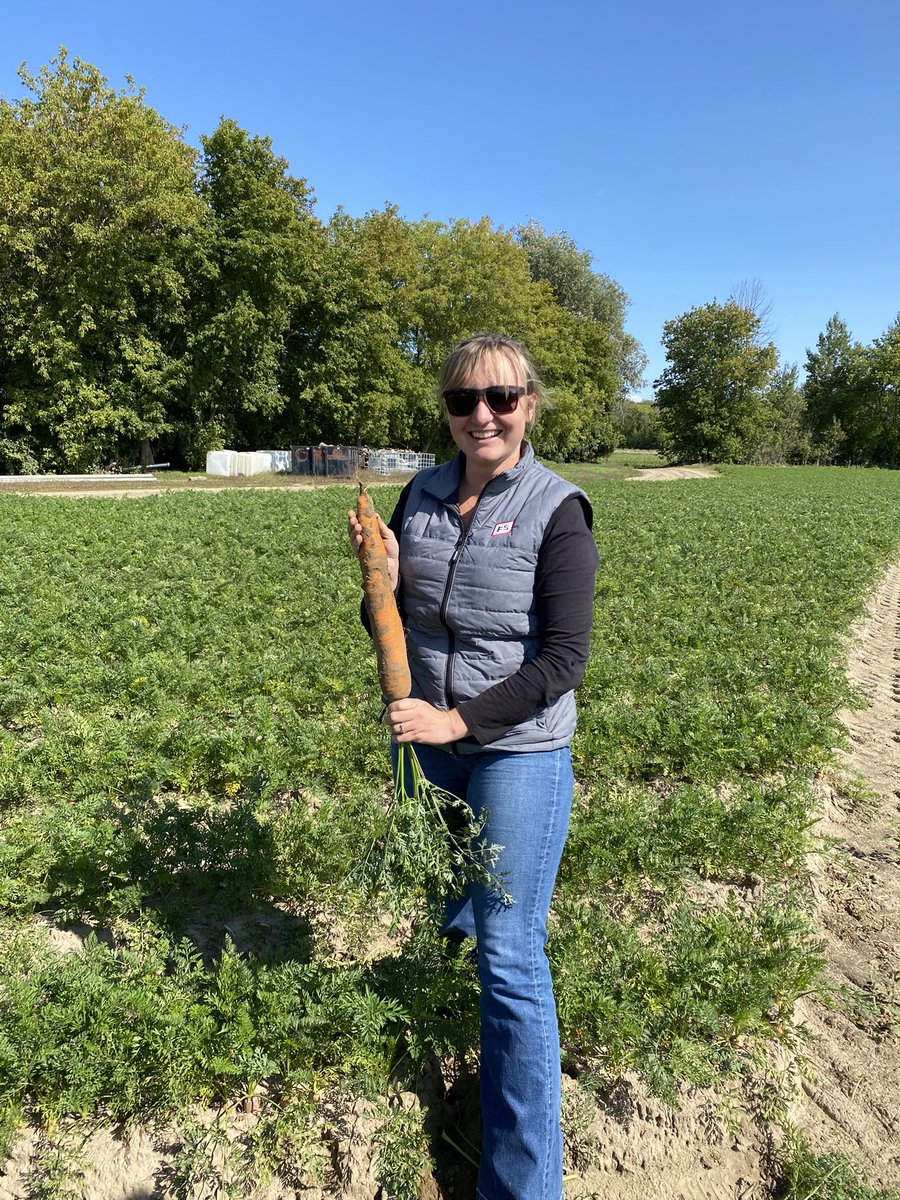 Always fun scouting and finding the random giants!!! Big ol’ sucker!! #carrots #FSinthefield