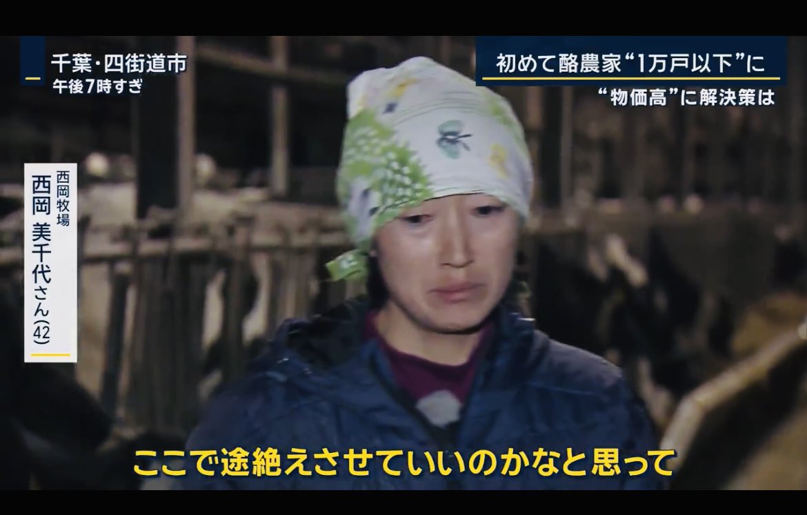 POP13736388's tweet image. 何で日本はこの状況を知りながら酪農家に手を差し伸べないの？

エサの値段は10年前の倍！

みんなお金を借りてしのごうと頑張ってきたけど
『返すお金がない』

全国の酪農家
2009年　2万戸以上
今年10月　9960戸
『6割が赤字』

胸が痛くなりました