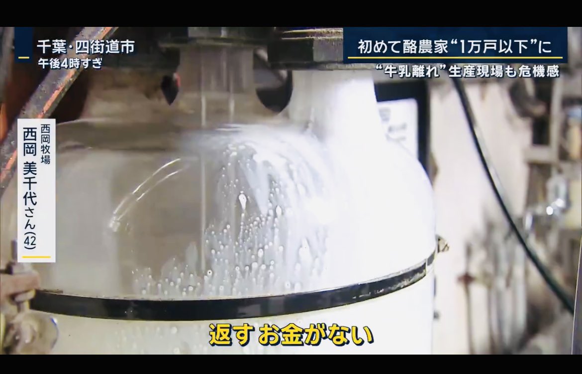 POP13736388's tweet image. 何で日本はこの状況を知りながら酪農家に手を差し伸べないの？

エサの値段は10年前の倍！

みんなお金を借りてしのごうと頑張ってきたけど
『返すお金がない』

全国の酪農家
2009年　2万戸以上
今年10月　9960戸
『6割が赤字』

胸が痛くなりました