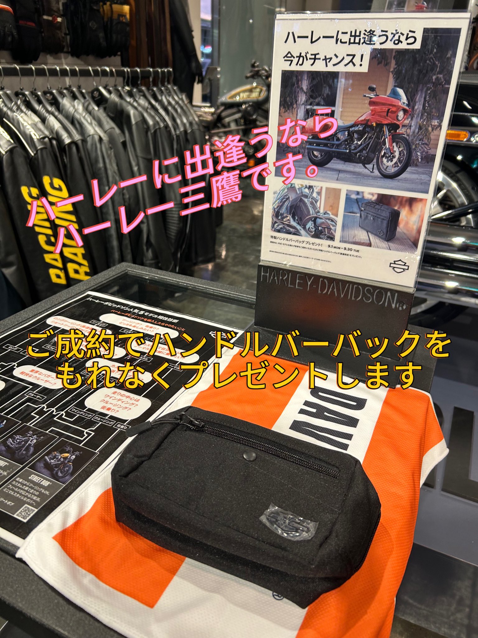 ホルミシスST-300 ゴールデンウィーク中大幅値下げ。このチャンスお見逃しなく hqdefault.jpg