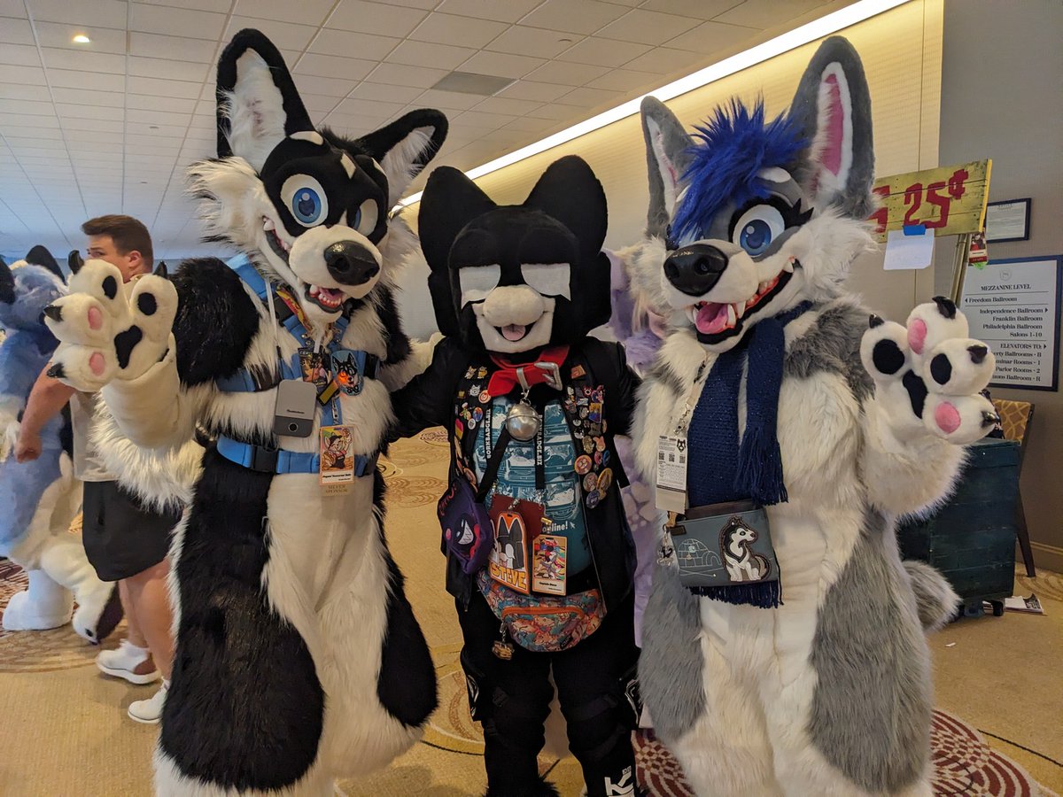 Found these adorable huskies over in Philadelphia! 🐱

🐶: <a href="/SaloHusky/">Salo Husky</a> <a href="/Sapphire__Husky/">Sapphire Husky</a>