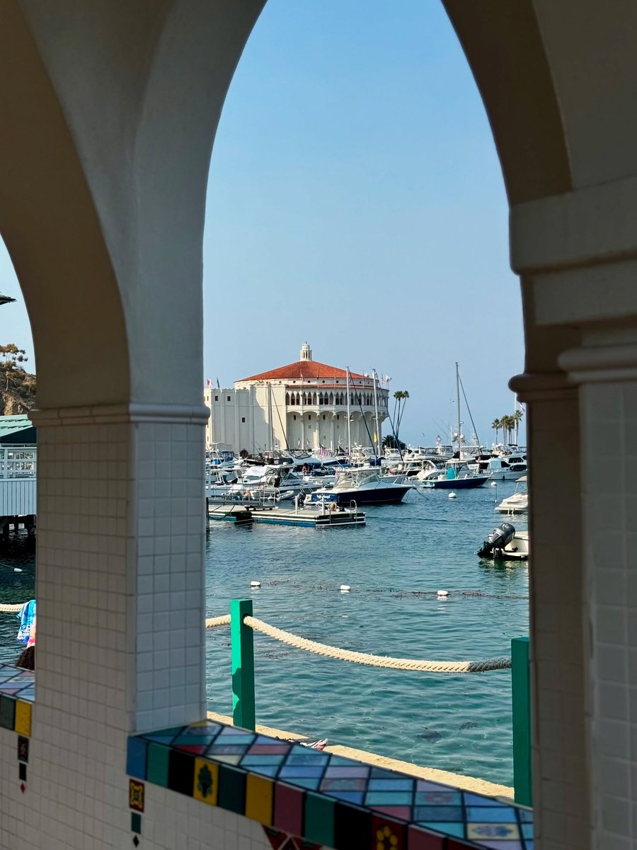 A look into Catalina Island’s history✨

📷: Instagram.com/kaya.hyde