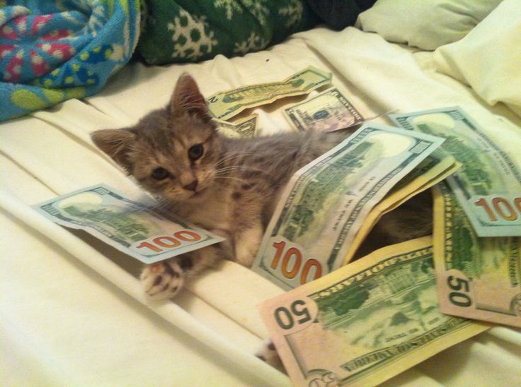 If people keep pushing AI vibe coded slop imagine how much money us cybersecurity nerds are gonna make

Chat, it's going to be a very prosperous couple of decades