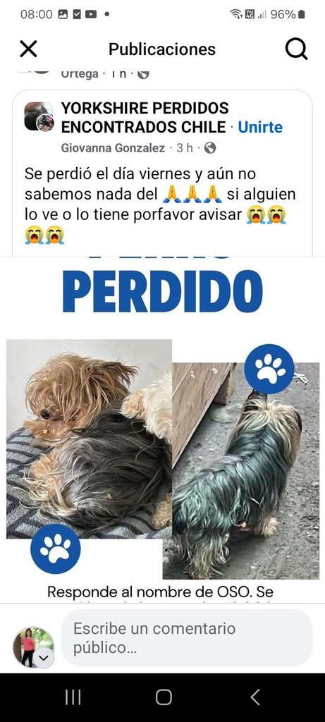 Patty Andrea (@andreediita28) on Twitter photo 