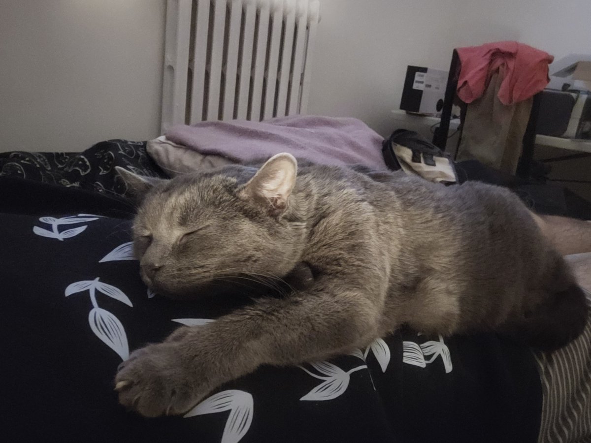 hittingdabricks's tweet image. the beast went to sleep one last time

i hope theres a lot of radiators up there