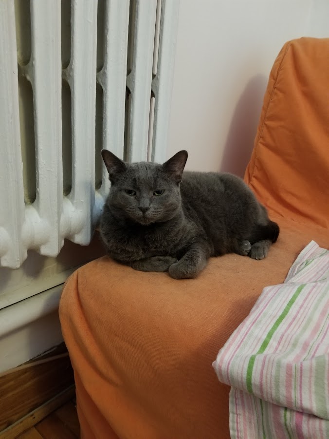 hittingdabricks's tweet image. the beast went to sleep one last time

i hope theres a lot of radiators up there