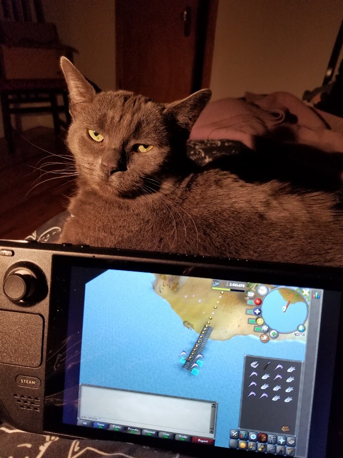 hittingdabricks's tweet image. the beast went to sleep one last time

i hope theres a lot of radiators up there