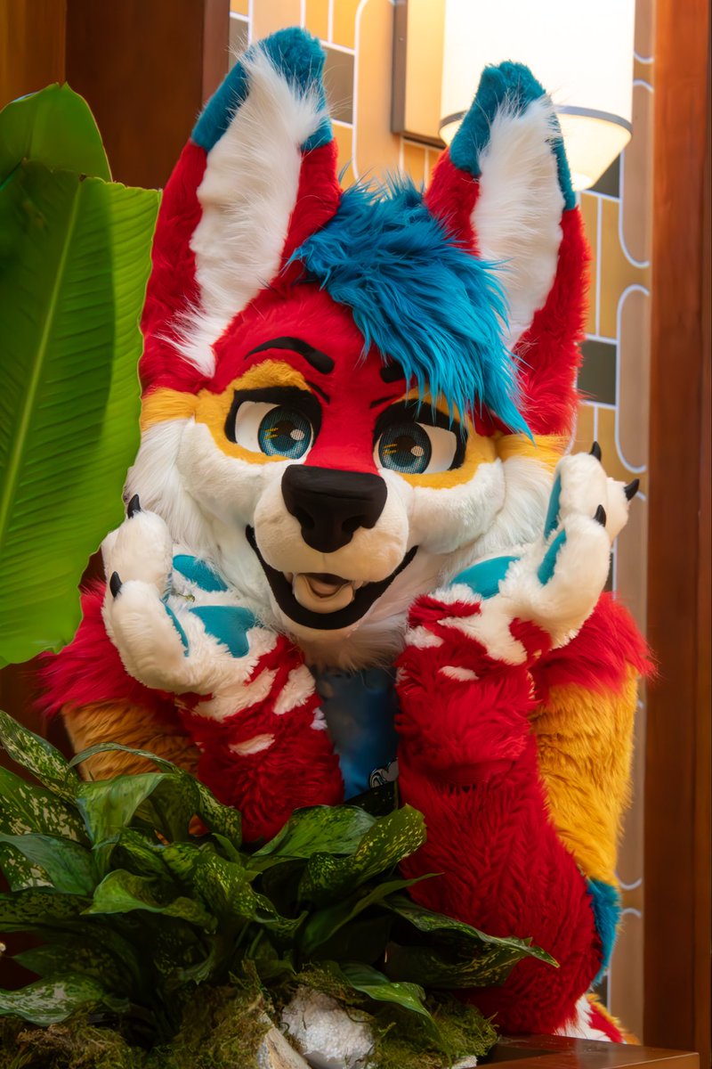 🥰Thank you all for 1K🥰
It has been wonderful to meet so many friends and to me more in the future
#fursuiter 
📸 <a href="/StellahFish/">Stellah | Fish 🐟</a>