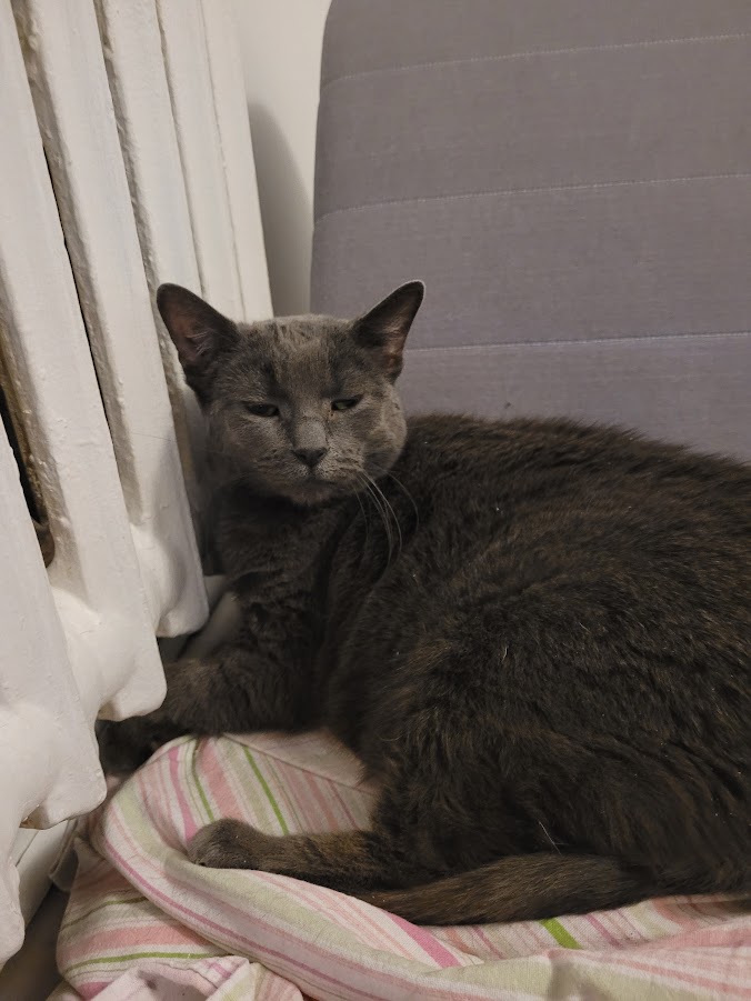 hittingdabricks's tweet image. the beast went to sleep one last time

i hope theres a lot of radiators up there