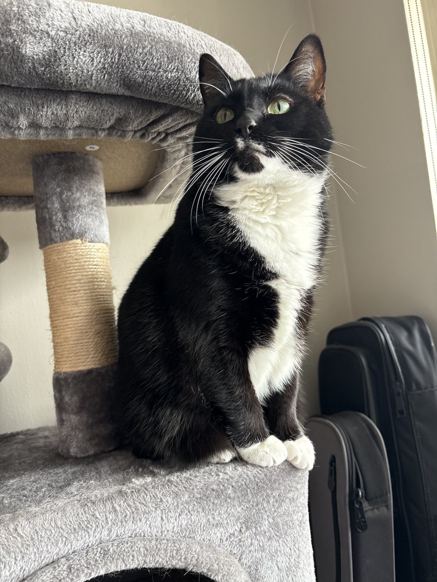 Veterans Outreach Center tweet media