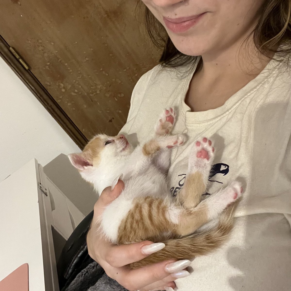 Temos um novo membro na nossa família!!

Bem vindo Cortês 🩵