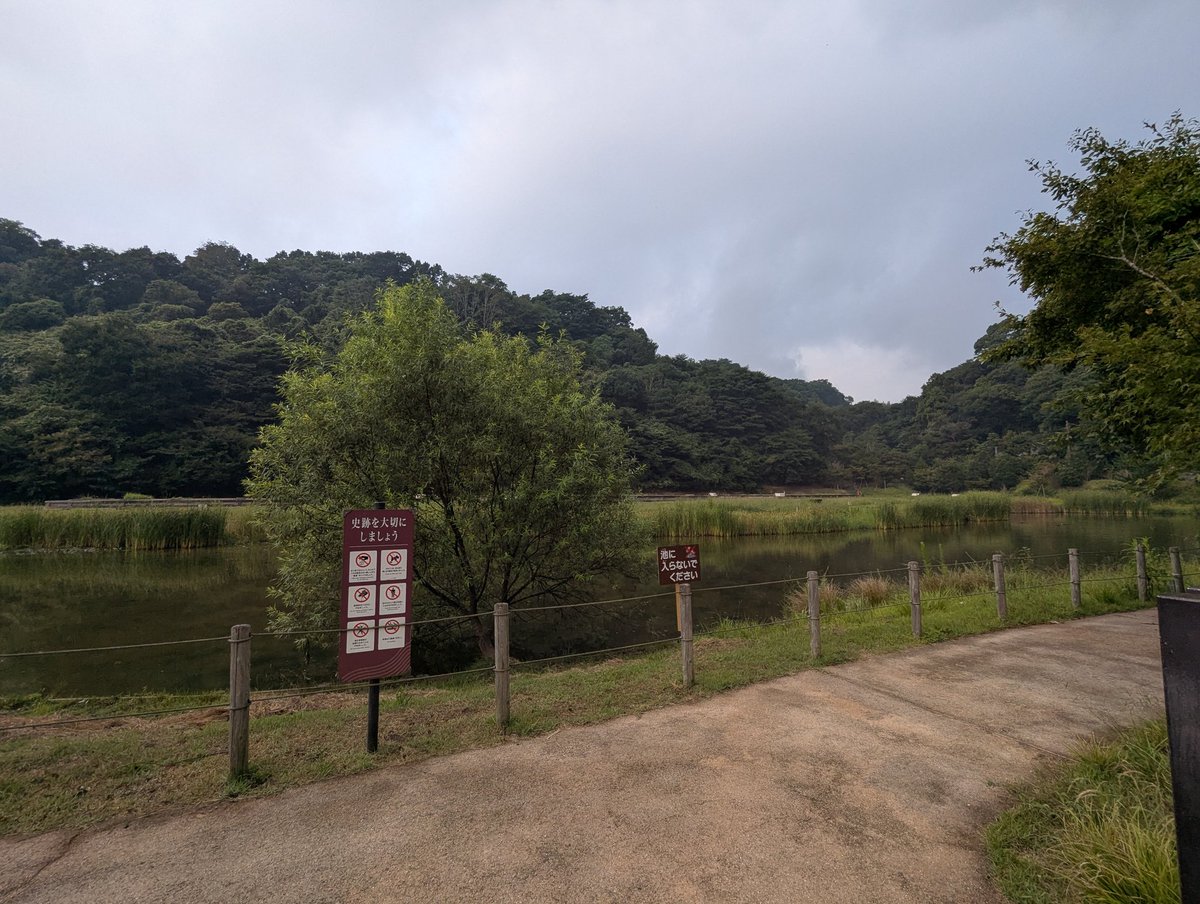 おは永福寺跡

今朝の鎌倉は曇り時々雨
気温は28度となっています。

雨は天気予報だとすぐに止むそうです。

今日も1日笑顔で！

#鎌倉PRESS #鎌倉プレス #永福寺跡 #今日の鎌倉 #鎌倉日暦 #鎌倉毎日天気

↓今日の暦と運勢↓
koyomil.com/y25m9d9/