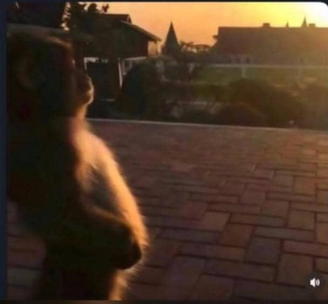 3 checkers dropped today, all ineligible