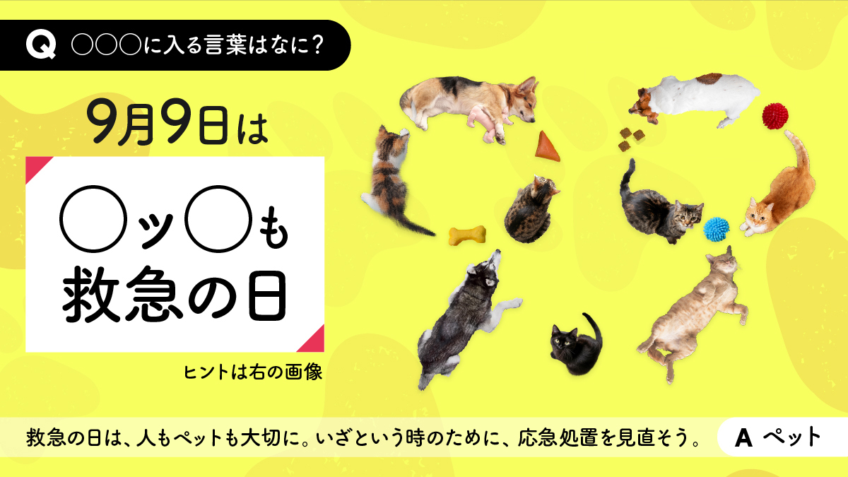 今日は〇ッ〇も救急の日🐶🐈
#救急の日 #ペットも救急の日 #ペットBLS検定