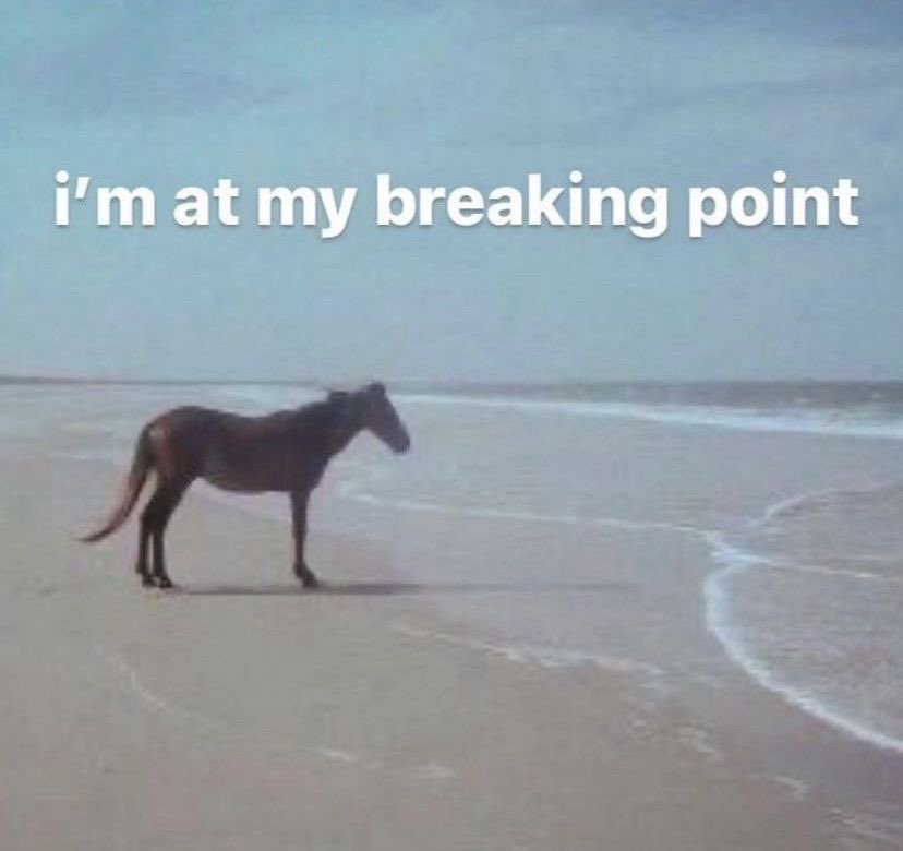 “The loss of you is the most catastrophic event our family will ever endure. You could explode on another planet, and we’d all still feel the impact like you’re a single inch away. Our parents will never recover. Our mom will grieve you for the rest of her life.”