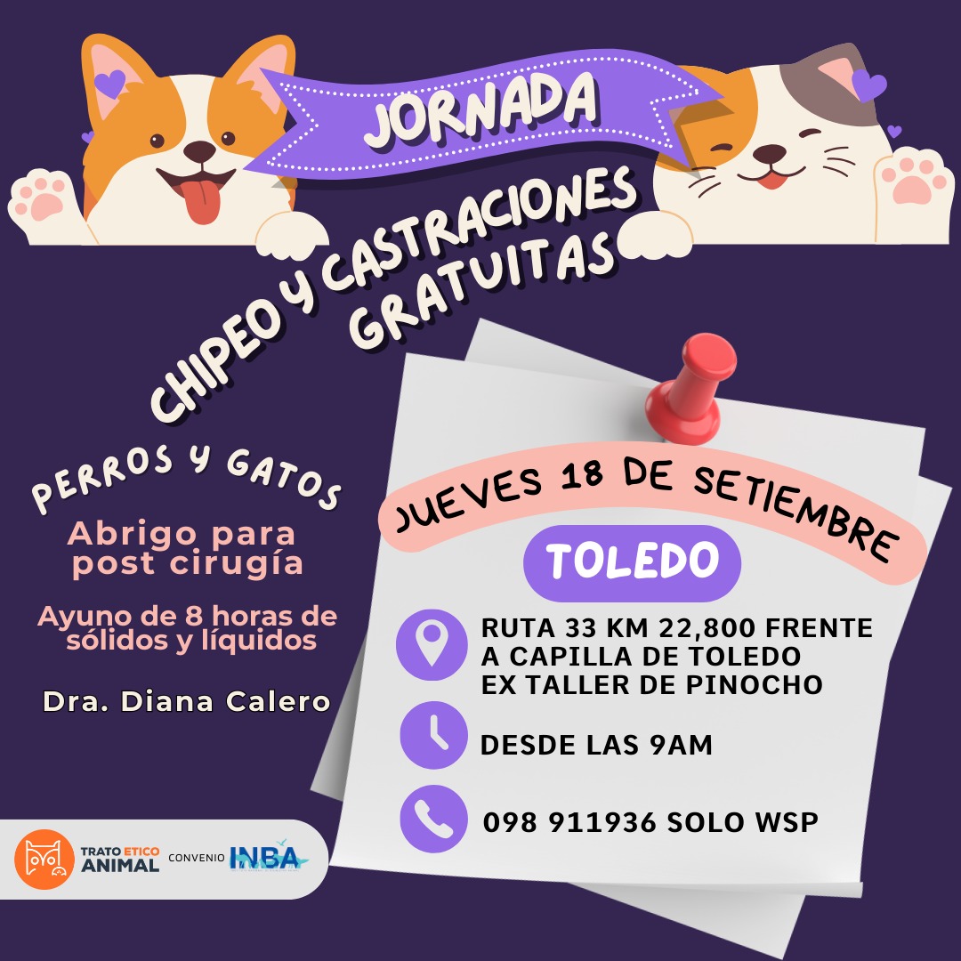 𝗖𝗮𝘀𝘁𝗿𝗮𝗰𝗶𝗼𝗻𝗲𝘀 𝗴𝗿𝗮𝘁𝘂𝗶𝘁𝗮𝘀 de Trato Ético convenio con INBA. 
  Jueves 18 de set.
  Perros y gatos 🐱🐶
  Ruta 33 km 22.800
☎️ Anotarse en 098911936 
Vet. D. Calero
𝐶𝑎𝑠𝑡𝑟𝑎𝑟 𝑒𝑠 𝑜𝑏𝑙𝑖𝑔𝑎𝑡𝑜𝑟𝑖𝑜 𝑦 𝑢𝑛𝑎 𝑟𝑒𝑠𝑝𝑜𝑛𝑠𝑎𝑏𝑖𝑙𝑖𝑑𝑎𝑑 𝑠𝑜𝑐𝑖𝑎𝑙