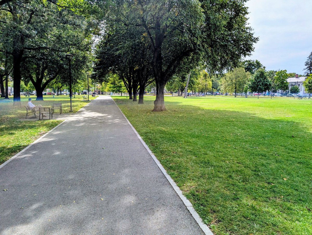 CbearMini's tweet image. 朝の散歩道✨️
今日は涼しく、秋に入りかかっているのを感じます。