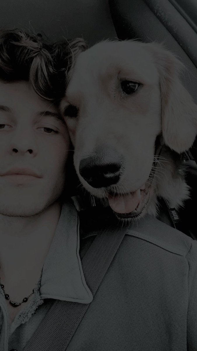 ᅠ 
ᅠ 

ᅠ

ᅠ                                      

ᅠ 
ᅠ                           
                         ﹙   𝚂𝙴𝙱𝙰𝚂𝙷𝙴𝚆𝚂𝙾𝙽   ﹚
  ⠀                     𝗜𝗡𝗦𝗧𝗔𝗚𝗥𝗔𝗠  𝗦𝗧꩜𝗥𝗬⠀⠀                 
⠀⠀ ⠀                send message          ⌲ 
ᅠ