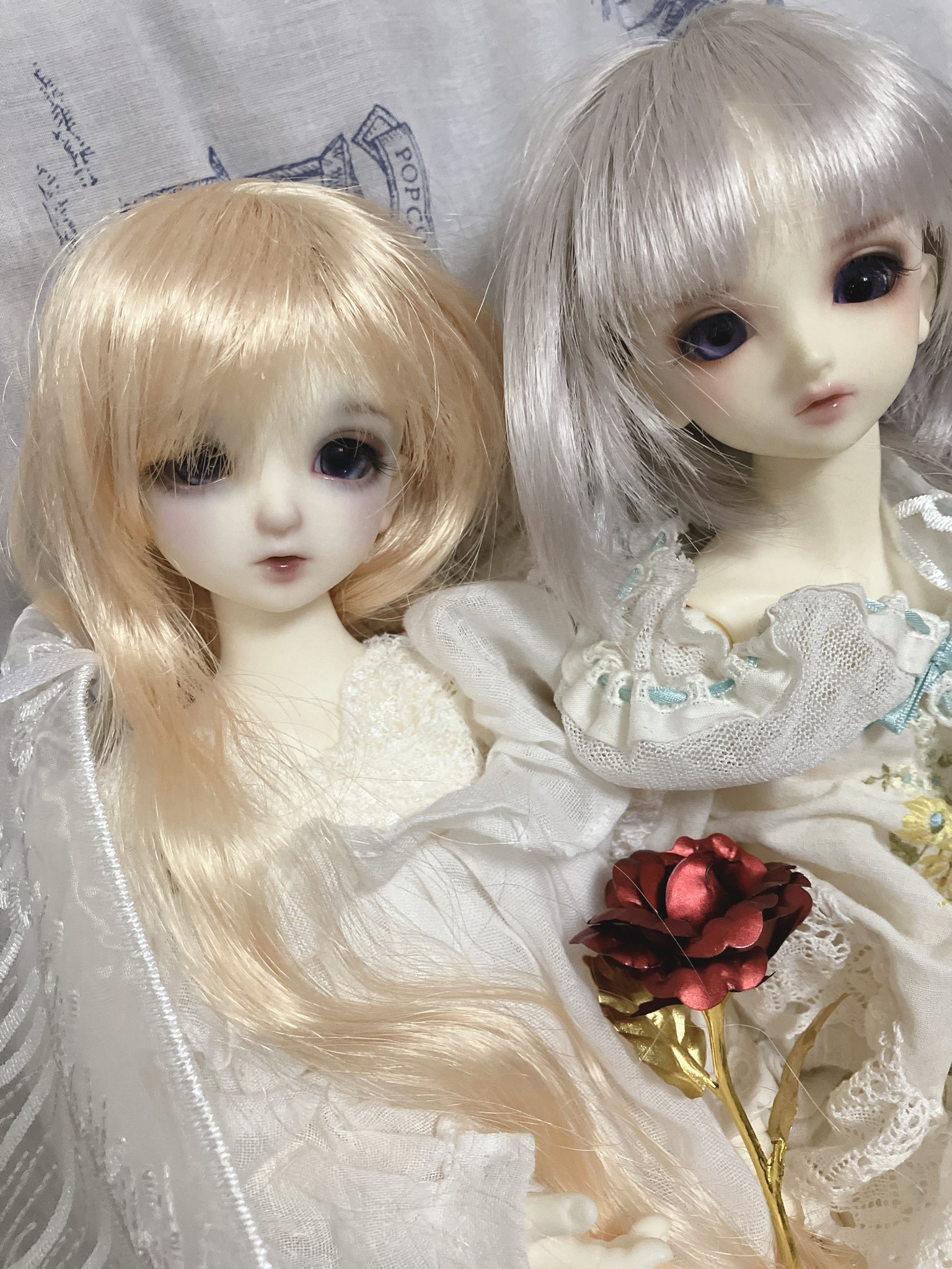 ✩.*˚ドール関連リクエストページ✩.*˚ Hotaru@DWO (@hotaru8823) / X