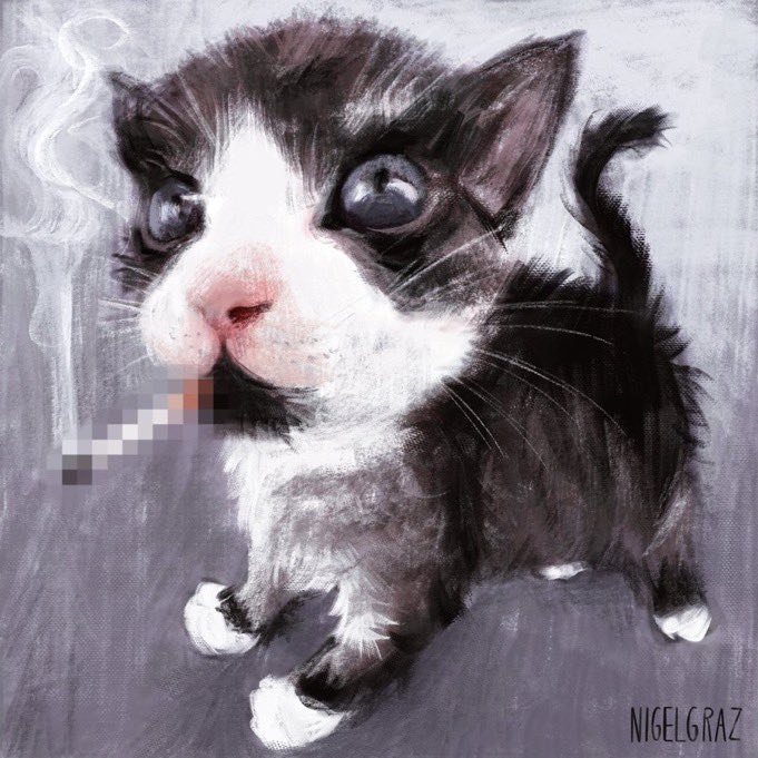 crazygurls4life's tweet photo. #promotwt please follow ï like music and drugs and my girlfriend and alcohol and my girlfriend and I’m a really good guy and I’m tall and I like my girlfriend anddddd please follow
#mettwt #revotwt #shewtwt #xination #alcoholtwt #drugtwt #dihtwt #ilovemygf #penis https://t.co/cecPmnA9W7
