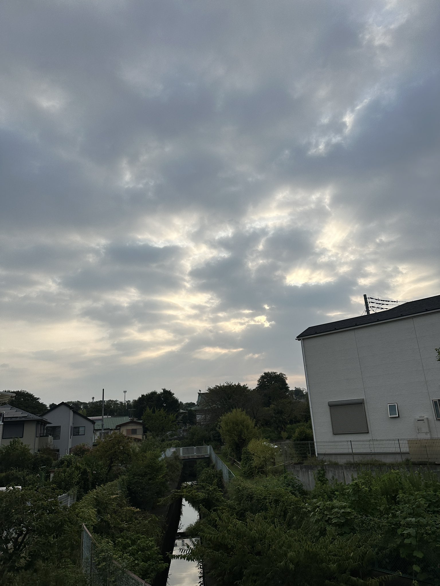 くまごろう sRHMMxnx_200x200.jpg