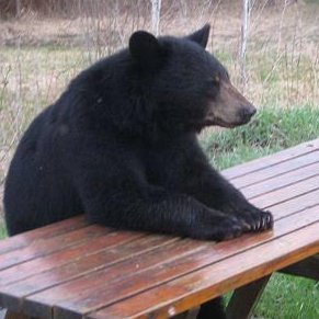 Un-fucking-believable.