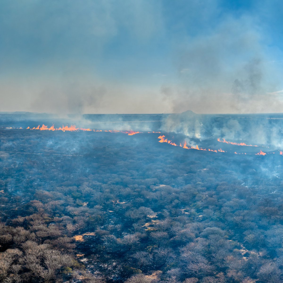 AtlaiWorld's tweet image. Australia faces critical environmental challenges with wildfires and significant tree cover loss. #AustraliaWildfires #EnvironmentalConcern #ATLAI #ChartAGreenPath #togetherforhumanity
atlaiworld.com/alerts/07-09-2…