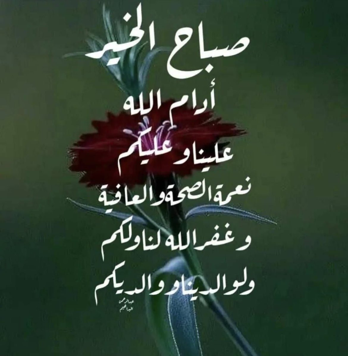 عمر بن محمد الشعلان (@sva01a) on Twitter photo 