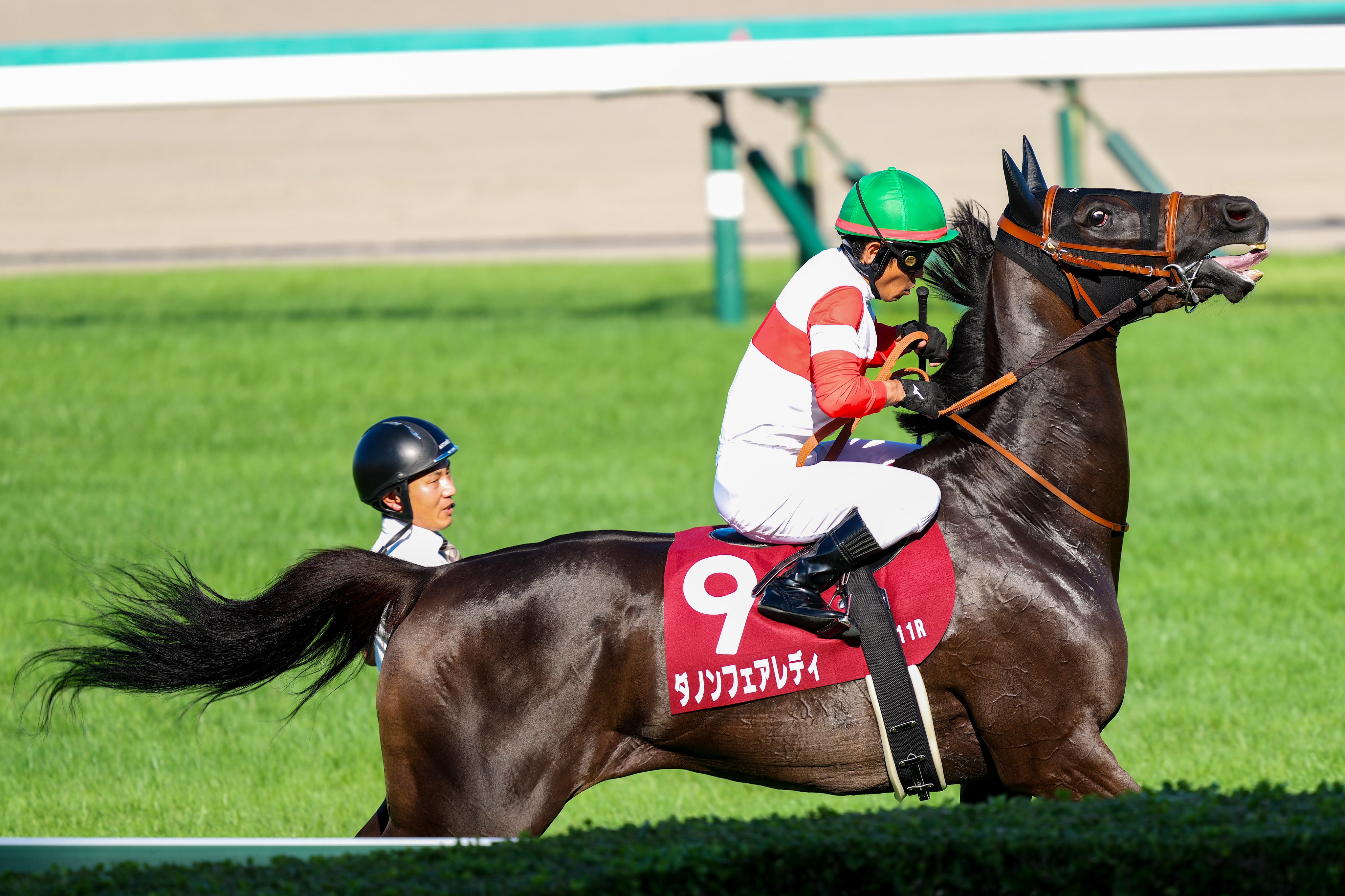 ダノンデサイル　戸崎圭太　ホースレーシングカード　世界限定　専用のケース台座付 競馬 ホースレーシングカード 戸崎圭太騎手 直筆サインカード