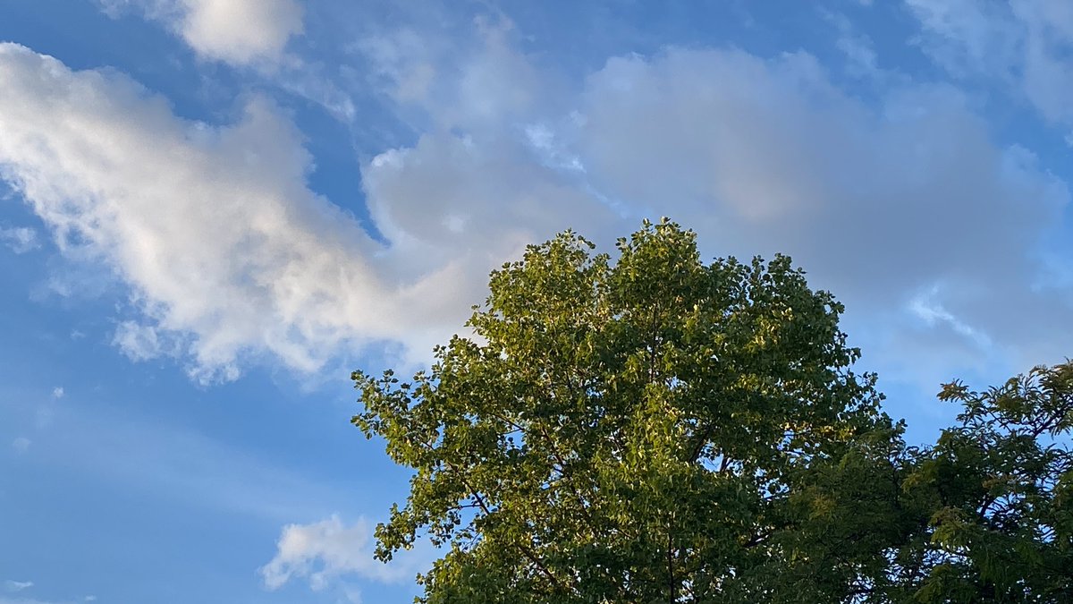 Can we reach our higher selves?