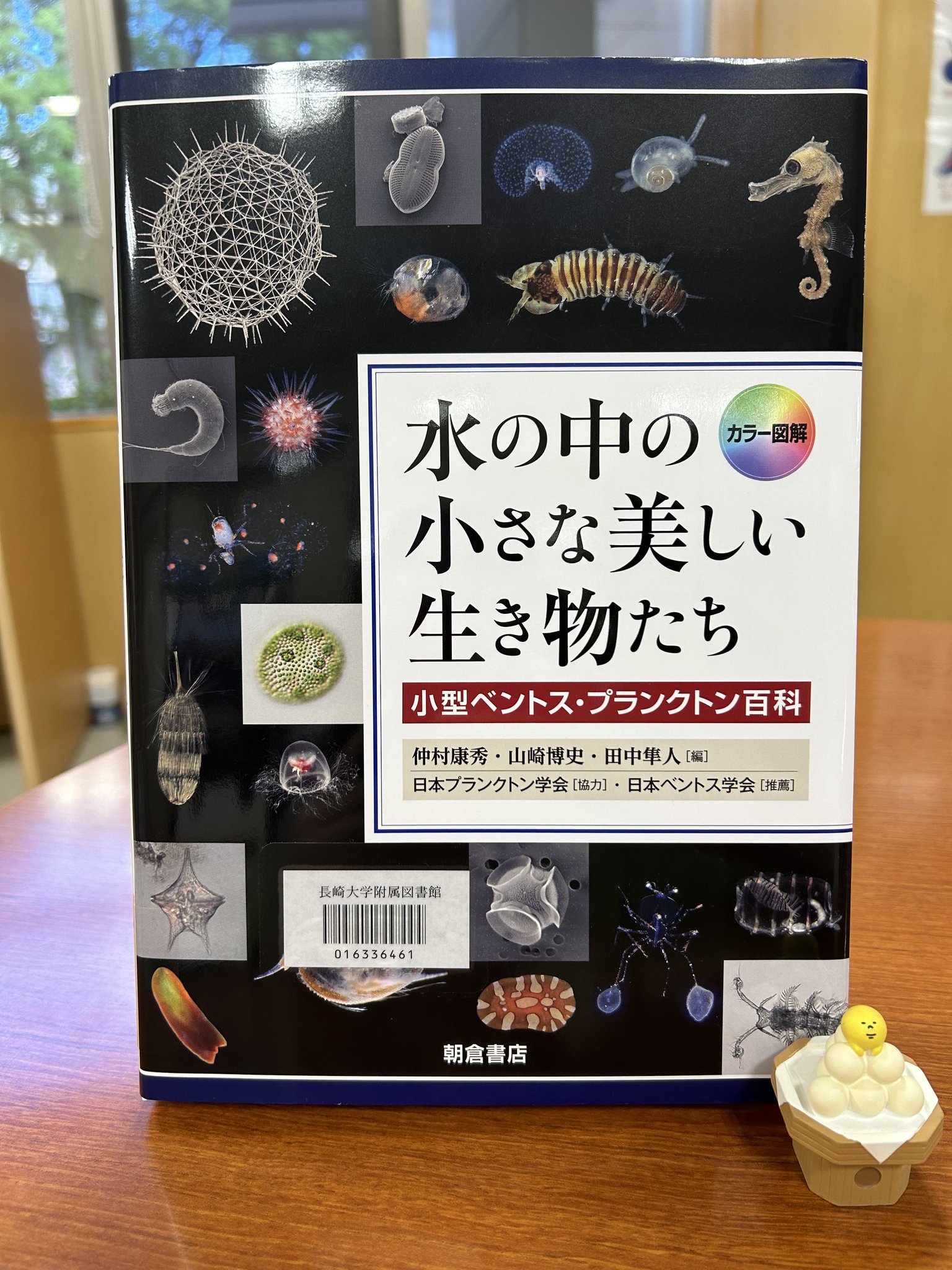経営　長崎県立大学　教科書セット（まとめ売り） 長崎県立大学 (2024年版大学入試シリーズ) | 教学社編集部 |本