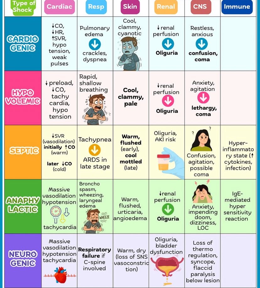 Nurse Hann tweet media