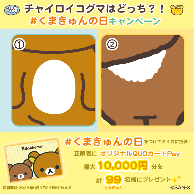 【応募券 × ③枚】グラビアチャンピオン vol.9★抽選 プレゼント★懸賞★ 応募券 × ③枚】グラビアチャンピオン vol.9☆抽選 プレゼント☆懸賞