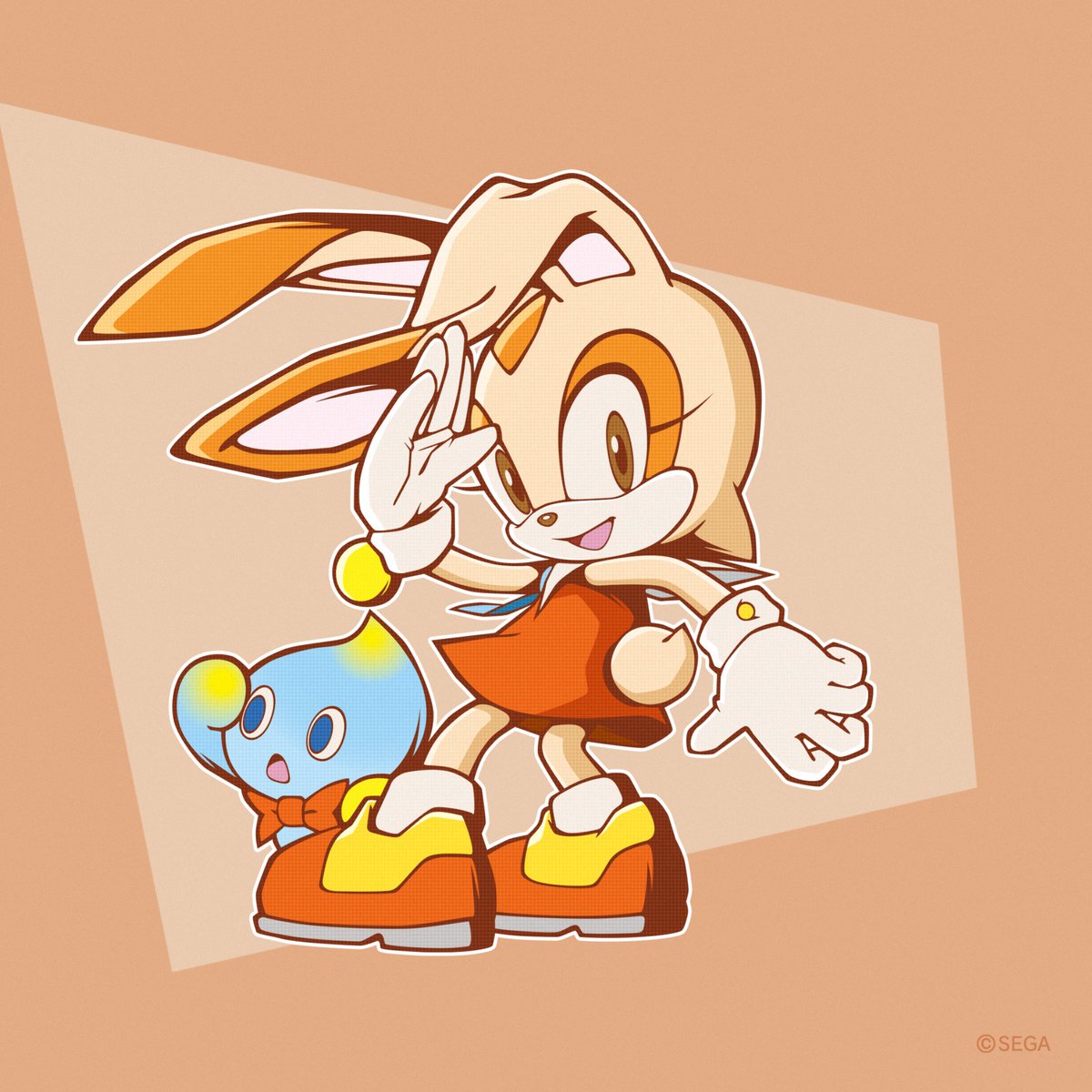 Sonic Fans Argentina tweet media
