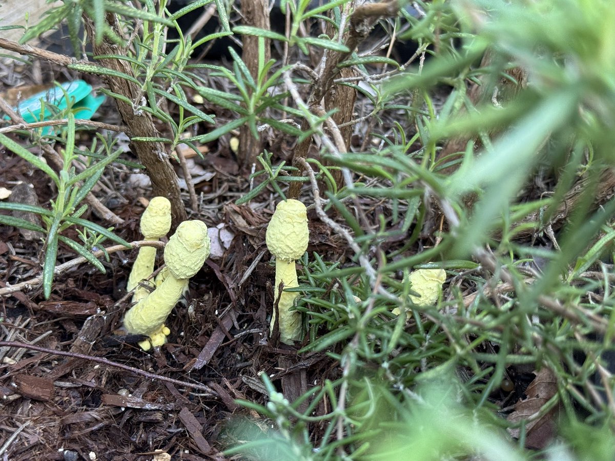 たなっちょ / Hayate TANAKA tweet media