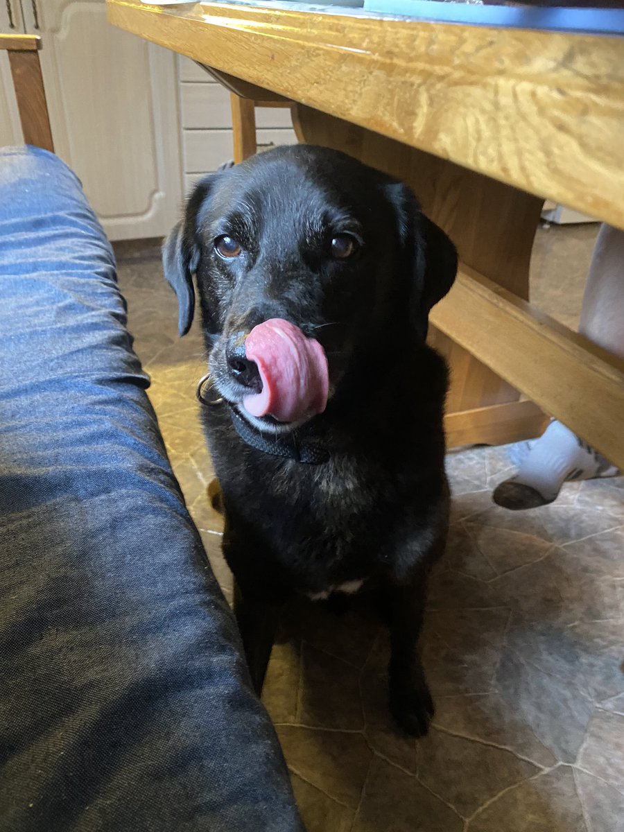 🚀 SOON: WWC on DEXTools! Get ready for enhanced tracking and visibility 💎 The kingdom expands!