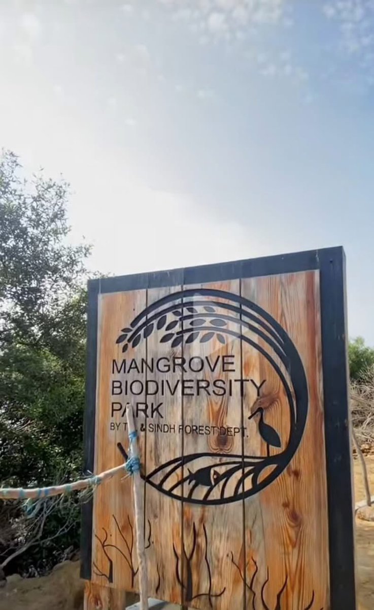 TSM_Humanist's tweet image. Mangrove Biodiversity Park, Korangi Karachi. 
#SaveIndusDelta #PlantTrees #Mangroves