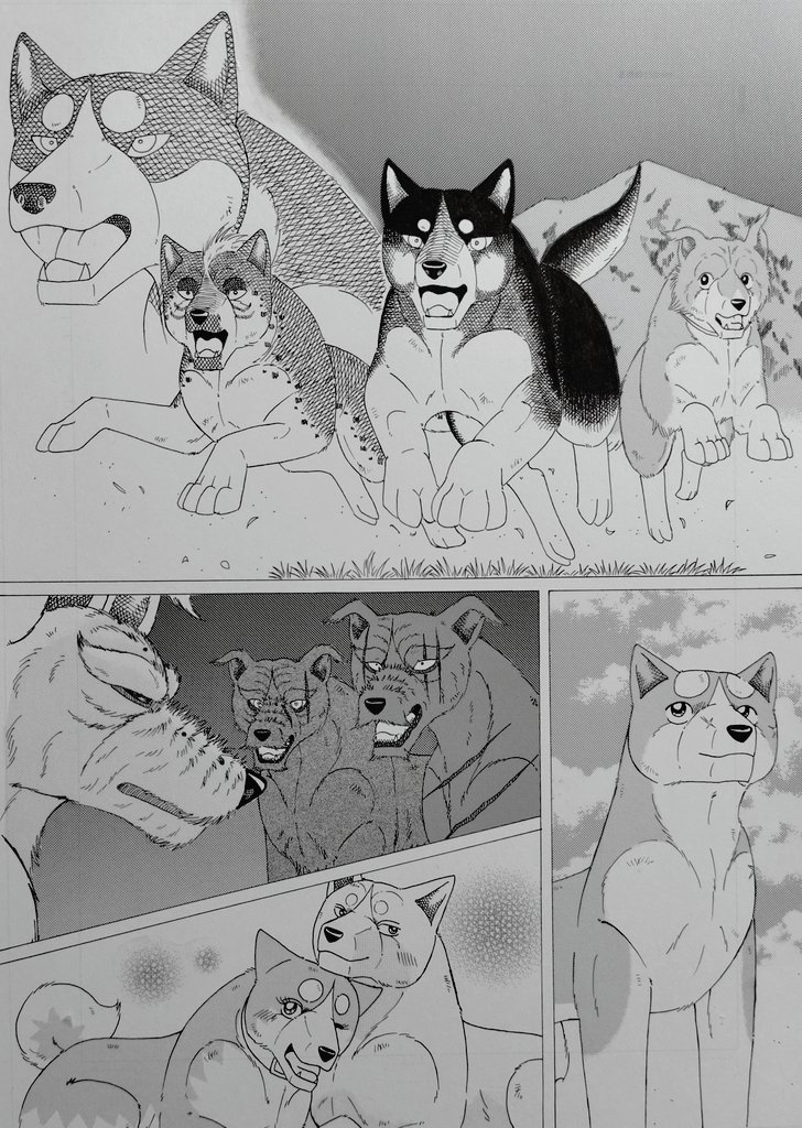 samrai銀牙② 銀牙