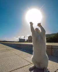 paul (@c_paul_1019) on Twitter photo ์ ๋ ๋๊ธ์ฐ๊ธฐ ํ๋ฃจ์ 50๊ฐ ์ฐ๊ธฐ ๋์ ํฉ๋๋ค!
๊ณ ์๋๋ค ๊ฟํ ์๋ ค์ฃผ์๋ฉด ๊ฐ์ฌํ๊ฒ ์ต๋๋ค ๐ฅน
ํ๋ก์ฐ ๋์์ฃผ์๋ฉด ๋๊ตฌ๋ณด๋ค ๋น ๋ฅด๊ฒ ๋งํ ํ๊ฒ ์ต๋๋ค
๊ทธ๋ผ ์ ํ๋ก์ฐ๋ ๋๊ธ ๋ฌ๋ฉฐ ์ํธ์์ฉํ๋ฌ ๋ ๋๊ฒ ์ต๋๋ค !
<a href="/KaitoAI/">Kaito AI ๐</a> <a href="/BioProtocol/">Bio Protocol</a> ์ ๋ ๋๊ธ์ฐ๊ธฐ ํ๋ฃจ์ 50๊ฐ ์ฐ๊ธฐ ๋์ ํฉ๋๋ค!
๊ณ ์๋๋ค ๊ฟํ ์๋ ค์ฃผ์๋ฉด ๊ฐ์ฌํ๊ฒ ์ต๋๋ค ๐ฅน
ํ๋ก์ฐ ๋์์ฃผ์๋ฉด ๋๊ตฌ๋ณด๋ค ๋น ๋ฅด๊ฒ ๋งํ ํ๊ฒ ์ต๋๋ค
๊ทธ๋ผ ์ ํ๋ก์ฐ๋ ๋๊ธ ๋ฌ๋ฉฐ ์ํธ์์ฉํ๋ฌ ๋ ๋๊ฒ ์ต๋๋ค !
<a href="/KaitoAI/">Kaito AI ๐</a> <a href="/BioProtocol/">Bio Protocol</a>