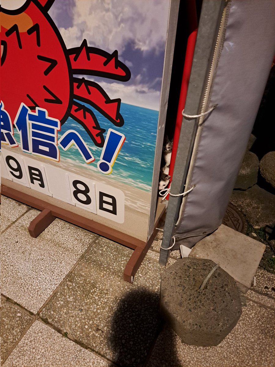 きのう