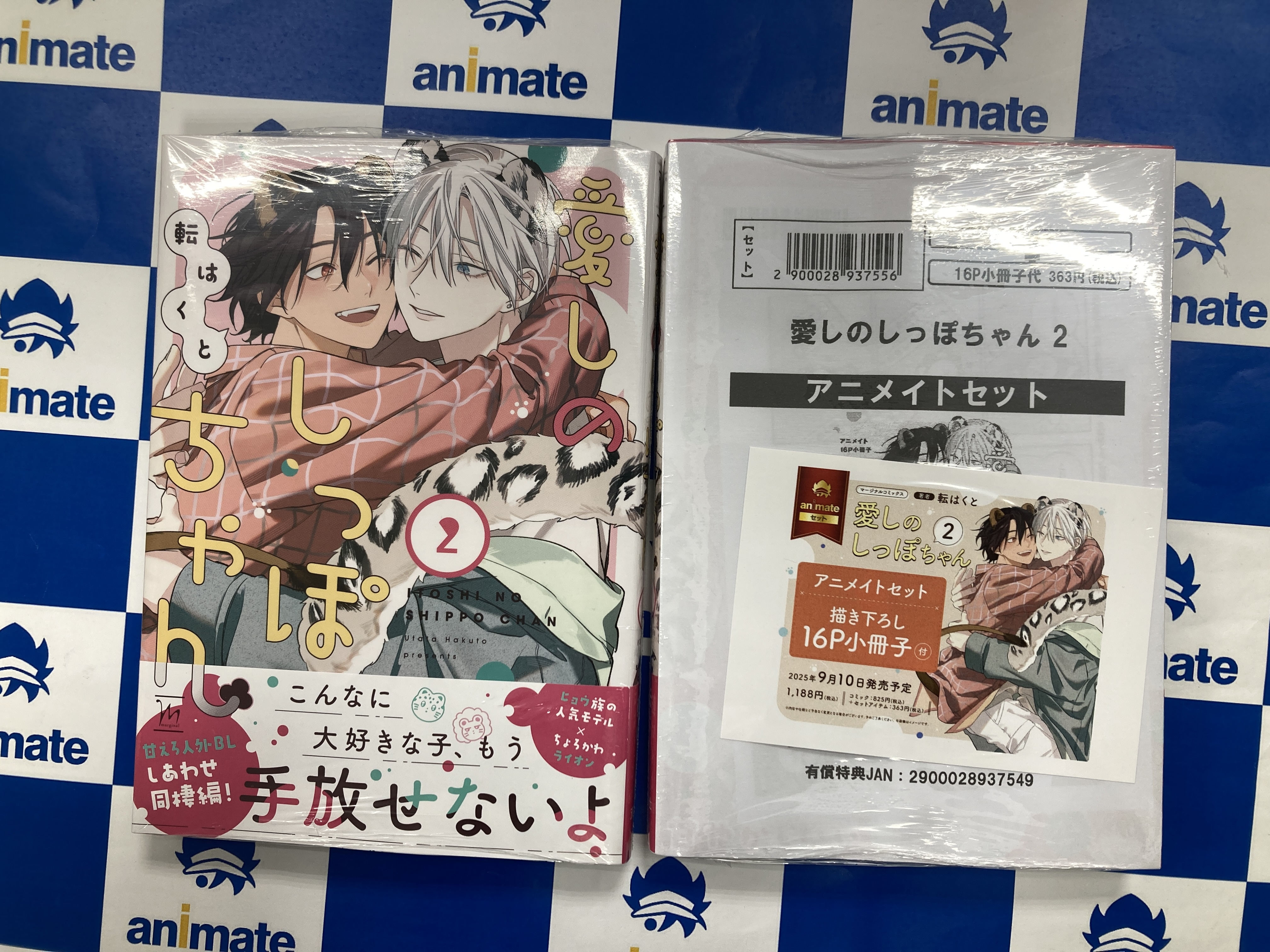 小冊子セット 楽天市場】鬼滅の刃 22巻 特装版 初回限定品 オリジナルグッズ