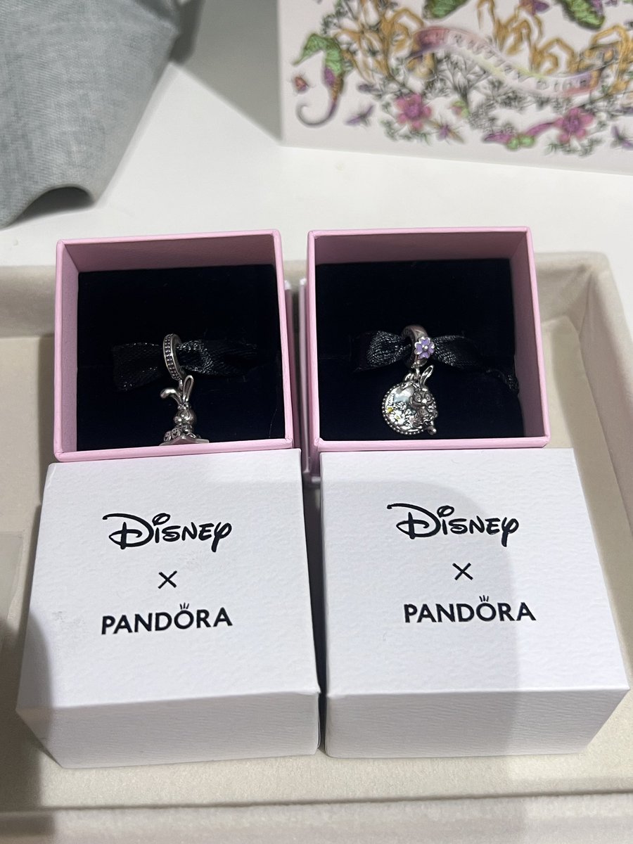 twofivedec2005's tweet image. ส่งต่อ Pandora ค่า
สเตลล่าค่ะ🐰ในช้อปฮ่องกง ปล่อย2500 ต่อชิ้นนะคั้บ ดูเพิ่มเติมได้ ทักมาสอบถามได้คั้บบ ผ่อนได้
#PandoraThailand #pandorath #pandoraแท้ #ส่งต่อpandora #pandoraมือสอง #pandoraมือ2 #ส่งต่อแพนโดร่า #แพนโดร่ามือสอง #แพนโดร่ามือ2 #ส่งต่อเครื่องประดับ #ตลาดนัดแพนโดร่า