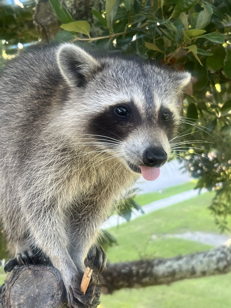 You never know what you’ll find in the backyard 🫶