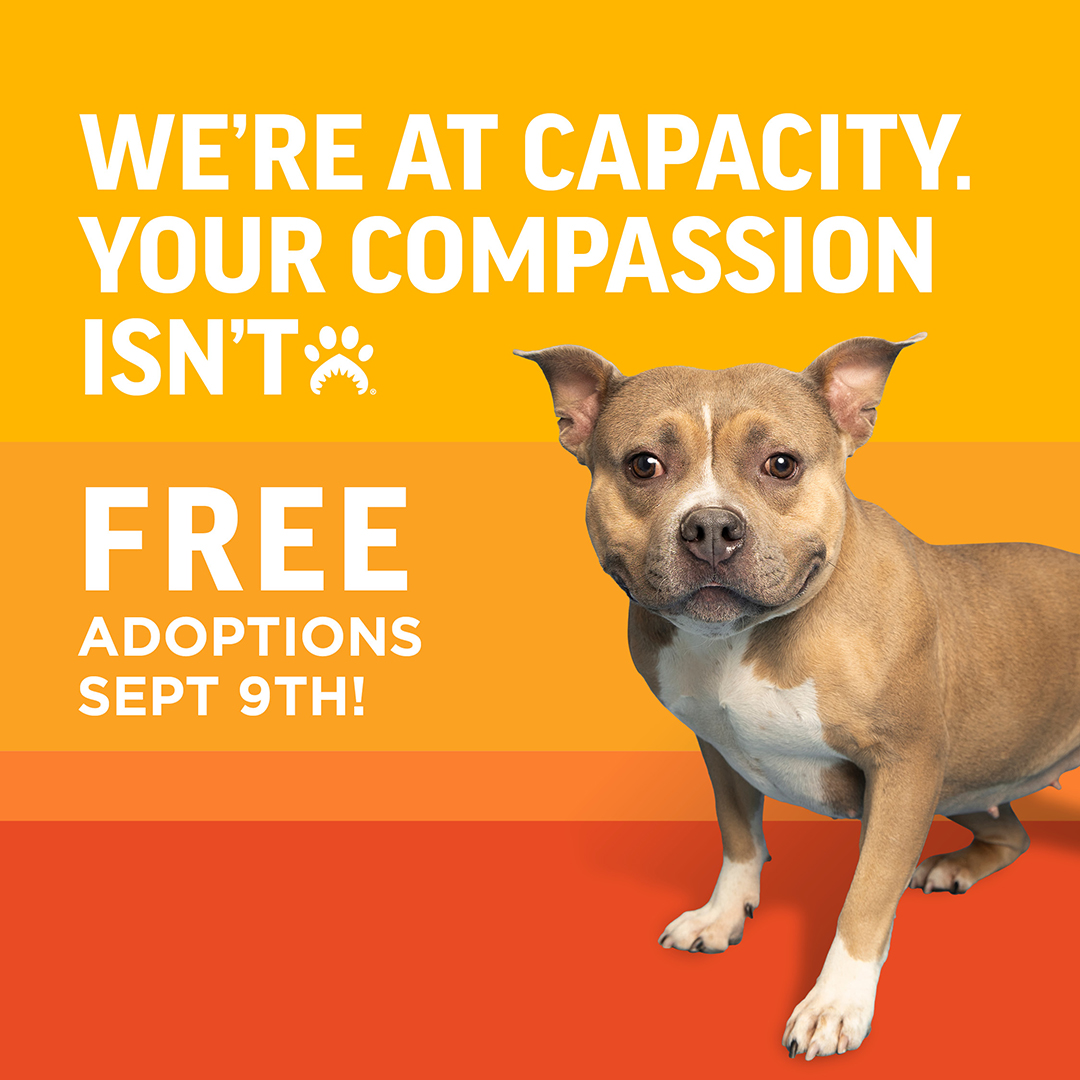 Arizona Humane Society tweet media