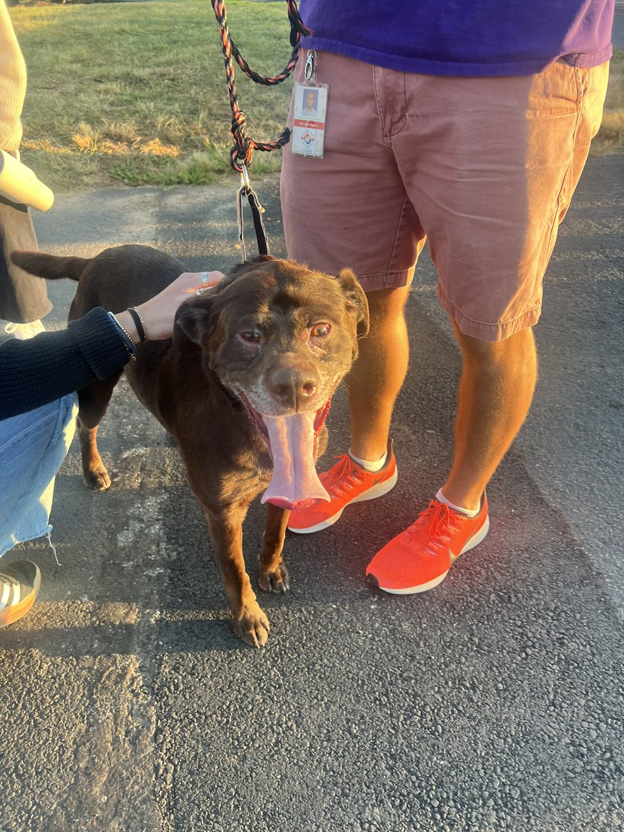 Kiki Ottenberg (she/her) tweet media