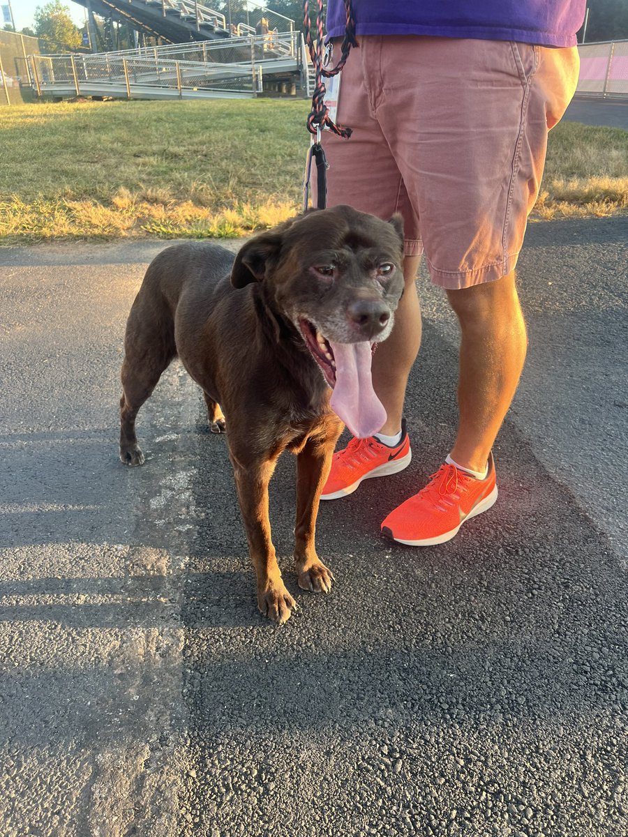 Kiki Ottenberg (she/her) tweet media