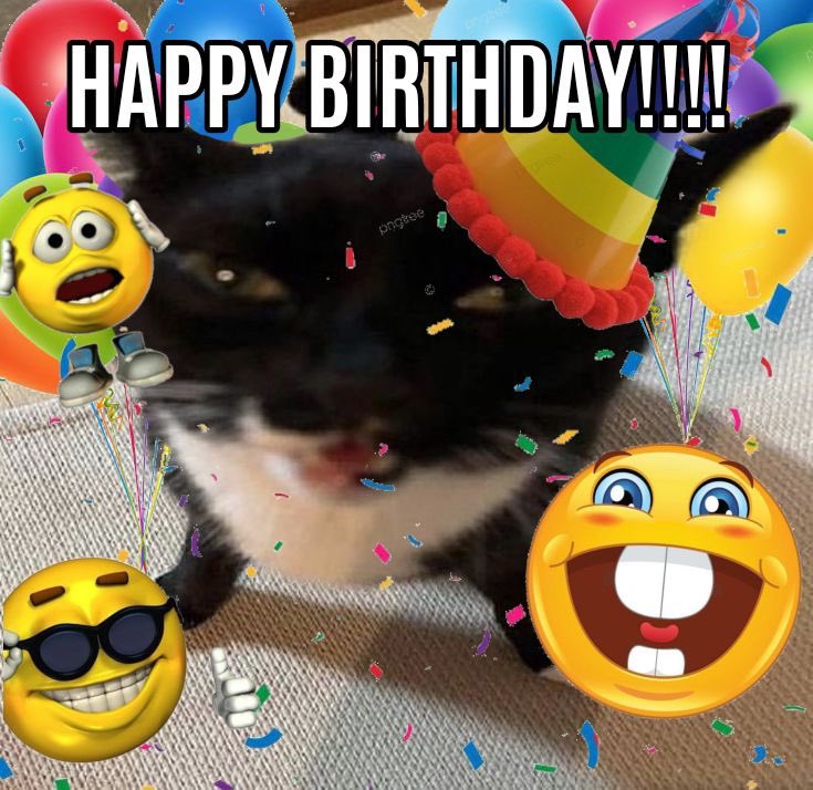 Celesteela…? (@celesteelareal) on Twitter photo 