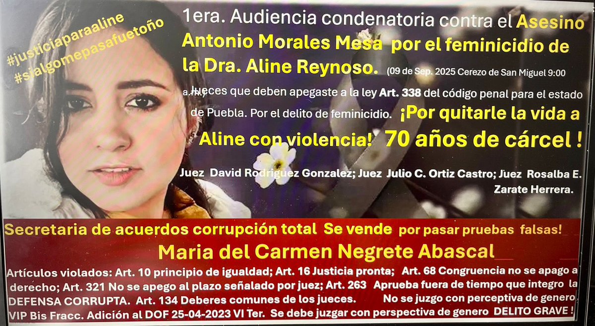 Dos años después del feminicidio de la doctora Aline Reynoso, finalmente, este martes 9 de septiembre dará inicio la etapa de enjuiciamiento. 

La familia de Aline buscará la pena máxima para Antonio N., es decir: 60 años.