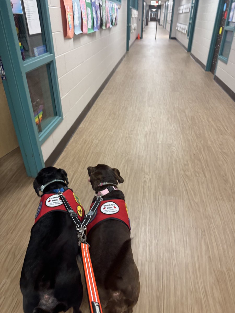 K9 Counselors Max &amp; Molly had a tail-wagging good time on campus today! They were thrilled to see some of our amazing students and staff! 💜🐶<a href="/HumbleISD_MBE/">Maplebrook Elem</a> <a href="/HumbleISD_CBS/">HumbleISD_CBS</a> <a href="/HumbleISD/">Humble ISD</a> #mbeisfamily #focusonthegood